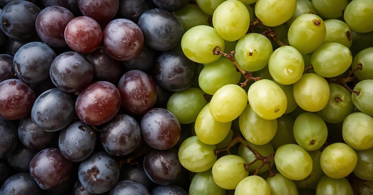 Black grapes and green grapes comparison