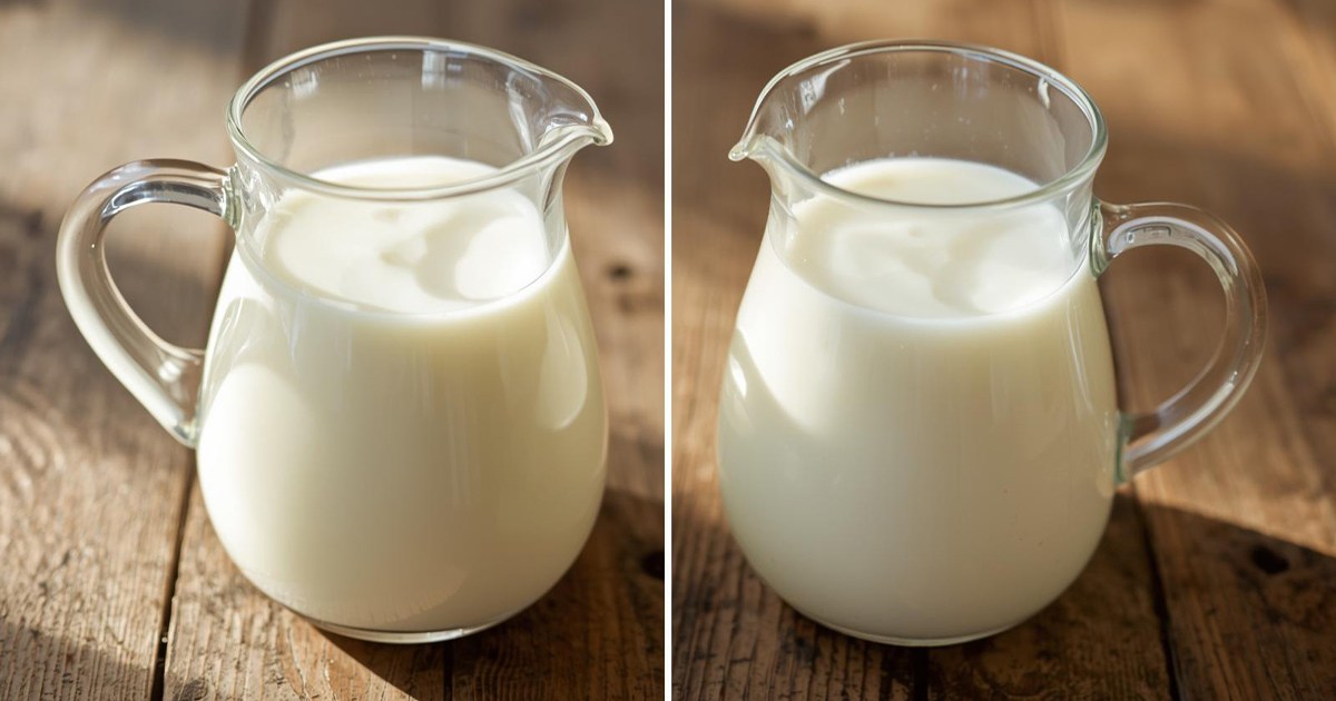 Buffalo milk and cow milk comparison